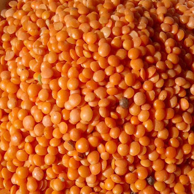 best rice sorter machine in india