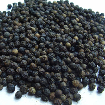 rice sorter manufacturer