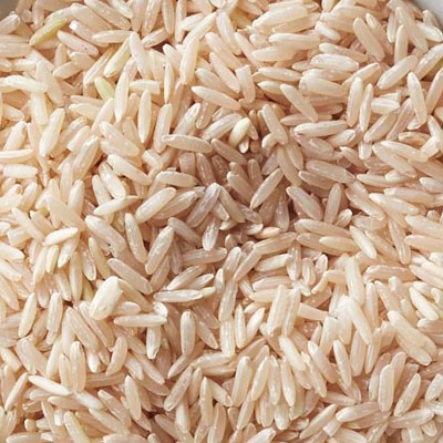 best rice sorter machine in india