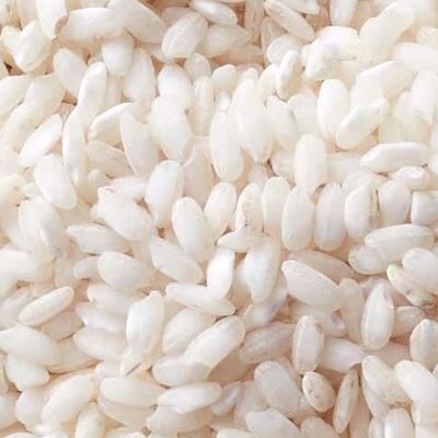 best rice sorter machine in india